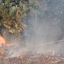 Kebakaran Hutan Bambu di Desa Wanaherang. Kades kesal banyak Lapak ilegal yang sering kali membakar sampah sembarangan.