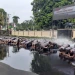 Korps Raport Kenaikan Pangkat Polres Bogor, Sebanyak 106 Personil Naik Pangkat