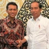 Minta Restu Jokowi, Dian Sumarwan Disandingkan Pilar Saga