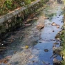 Saluran Irigasi di Desa Tlajung Udik Bogor Tercium Bau, Diduga Ada Perusahaan Buang Limbah