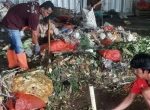 Meminimalisir Sampah Pasar Cikema, Pemuda Karang Taruna Cibinong Ubah Sampah Jadi Pupuk Kompos dan Pelet