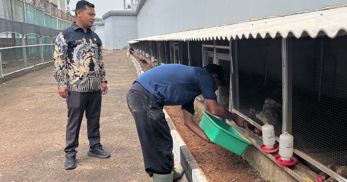 Program Kemandirian Berbuah Hasil, Warga Binaan Lapas Cibinong Panen Telur Ayam Petelur