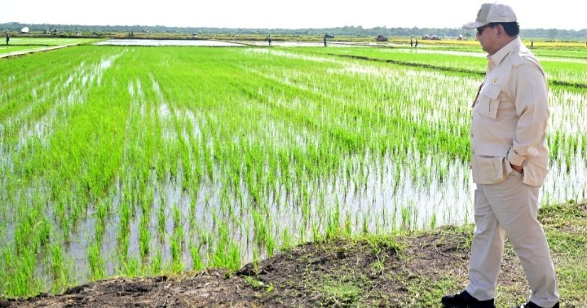 Deregulasi 25 Aturan Pangan Nasional, Kunci Percepatan Swasembada dan Rantai Pasok Modern