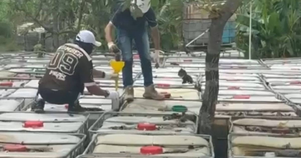 Pengambilan Semple oleh Pertamina.