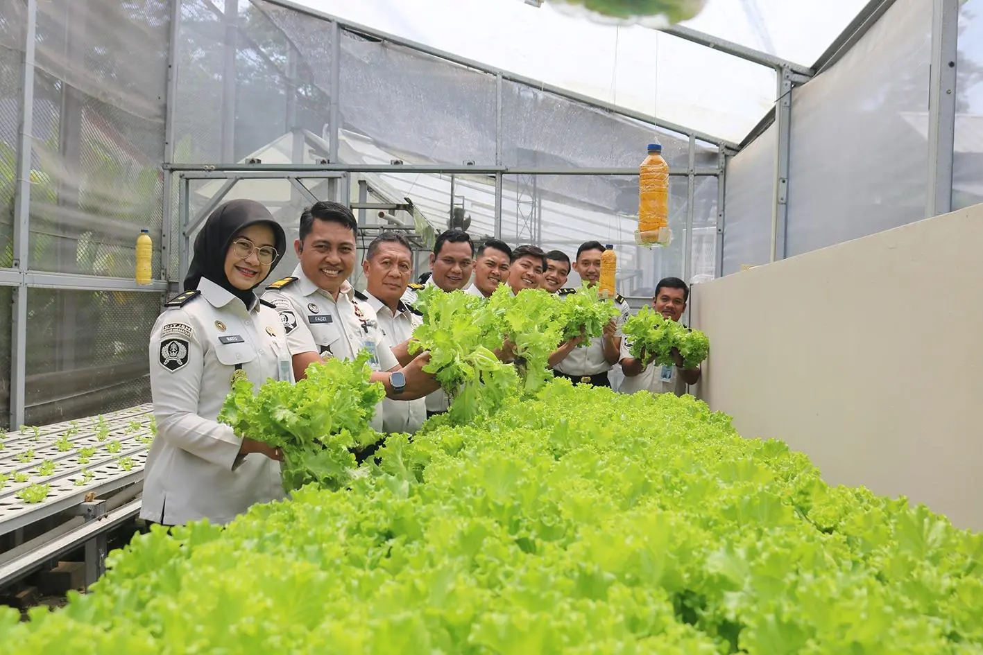 Panen 45 Kg Selada Hidroponik, Lapas Cibinong Dorong Kemandirian Pangan Warga Binaan
