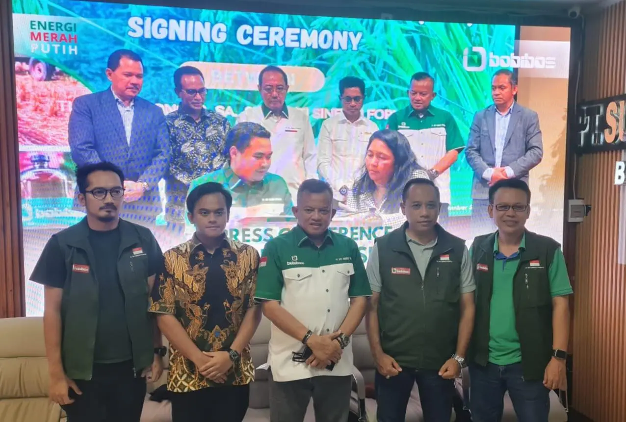 Bobibos Dapat Proteksi dan Regulasi dari Timor Leste, Kelola 25 Ribu Hektare Sawah untuk Energi Nabati