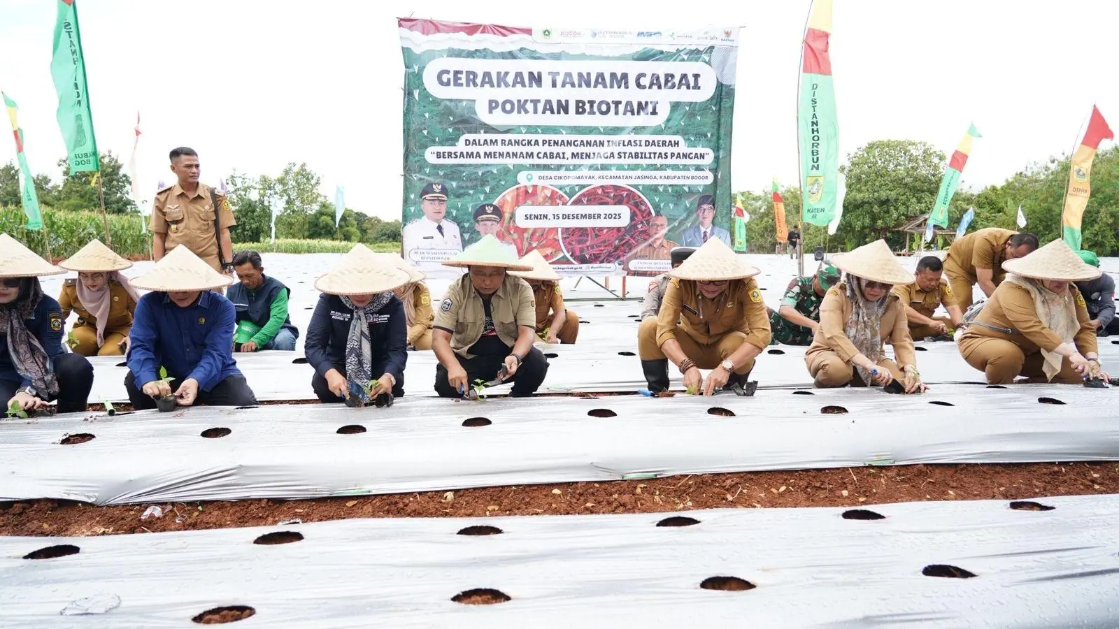 Kendalikan Inflasi Daerah, Pemkab Bogor Gelar Gerakan Tanam Cabai di Jasinga