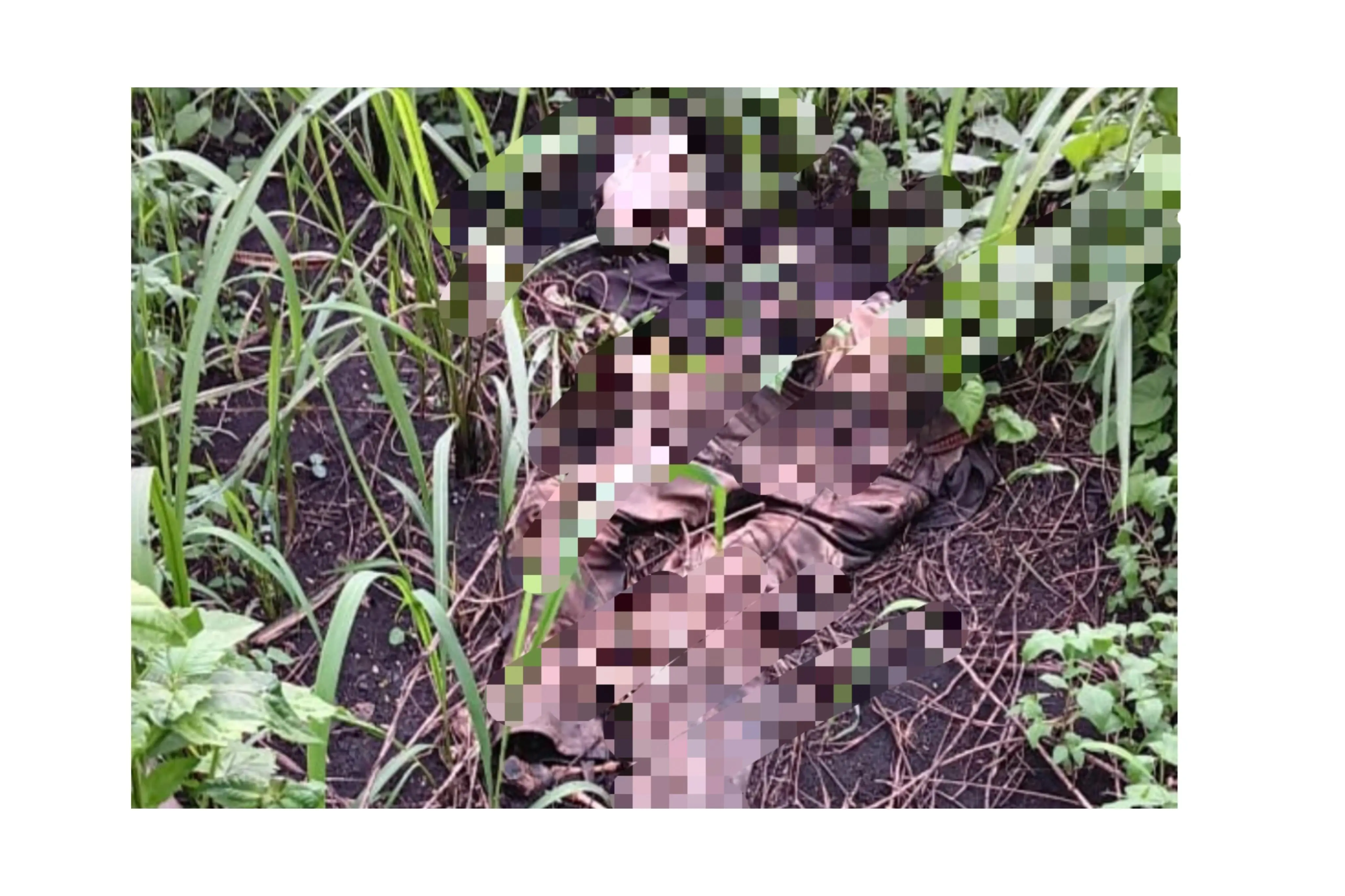 Penemuan Kerangka Manusia di Poros Wowonda: Polisi Gerak Cepat, Identitas Korban Masih Misterius