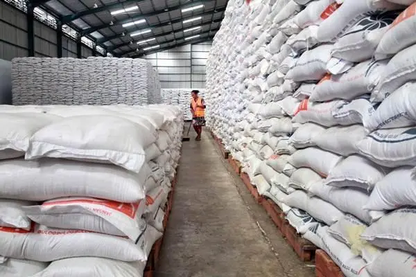 Kementan dan Bulog Bangun 100 Gudang Beras Mulai Januari 2026, Anggaran Capai Rp5 Triliun