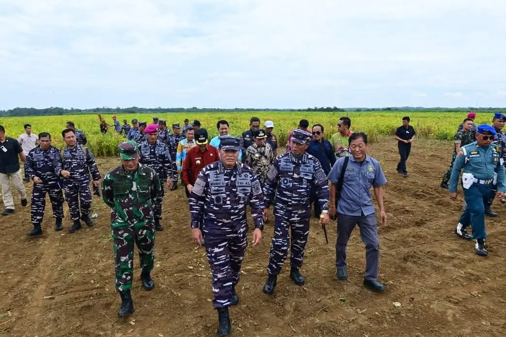 Kasal Tinjau Langsung Lahan Ketahanan Pangan TNI AL di Lampung