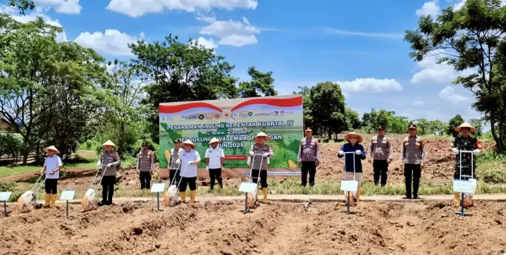 PT Bukit Asam Dorong Ketahanan Pangan Lewat Program Penanaman Jagung Multipihak di Muara Enim