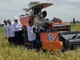 Pemerintah Pastikan Stok Beras Nasional Aman, Produksi Padi Capai 53,87 Juta Ton