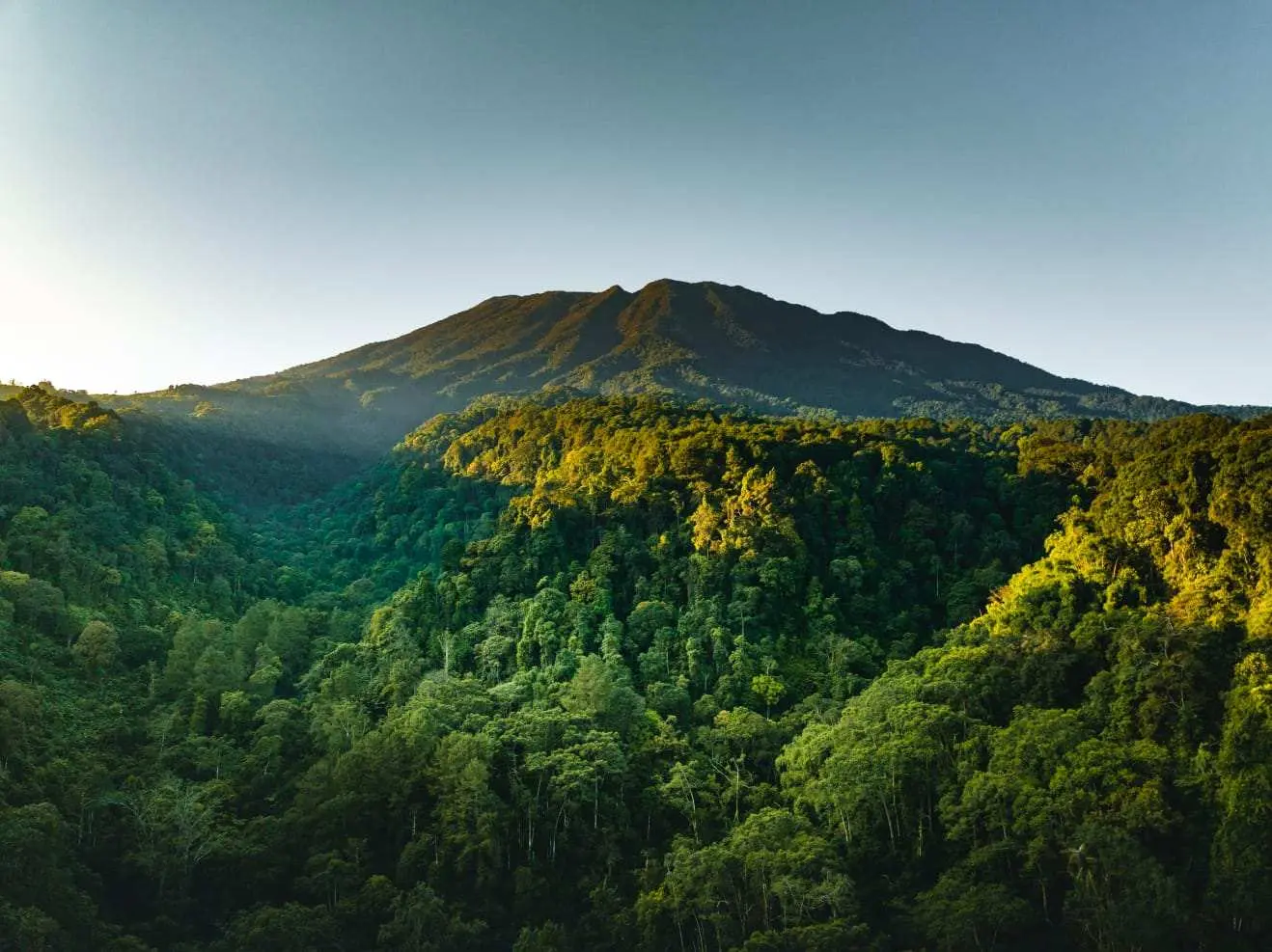 Dari Gunung Gede hingga PTPN, EIGER Adventure Land Bangun Destinasi Ekowisata untuk Indonesia