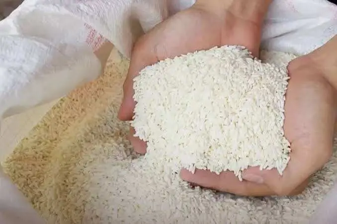 Pemkab Bogor Perketat Pengawasan Beras, Cegah Peredaran Oplosan