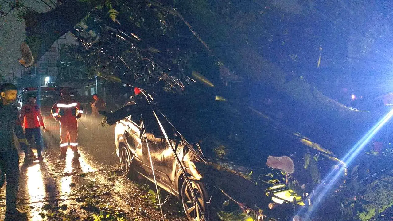 Angin Kencang Tumbangkan Pohon dan Tiang Listrik di Gunung Putri, Satu Mobil dan Tiga Motor Tertimpa
