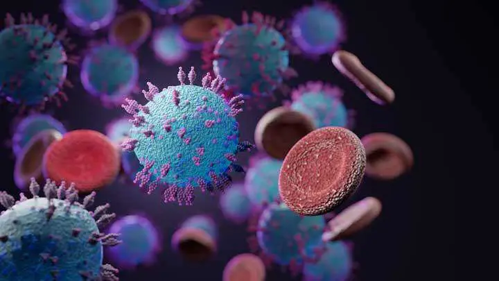 Virus HKU5 Mirip COVID-19 Ditemukan di Cina, Berpotensi Picu Pandemi Baru