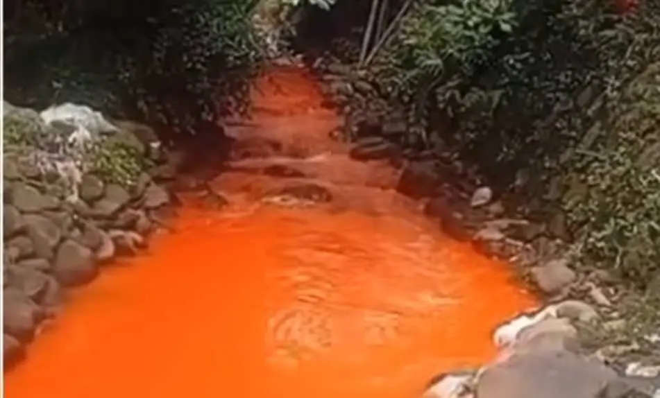 Viral! Sungai di Citeureup Bogor Tercemar, Warga Minta Tindakan Tegas dari Gubernur Jabar Kang Dedi Mulyadi