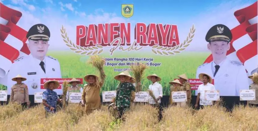 Bupati Bogor Rudy Susmanto Pimpin Panen Raya 50 Hektar Sawah di Leuwisadeng, Dorong Swasembada Pangan