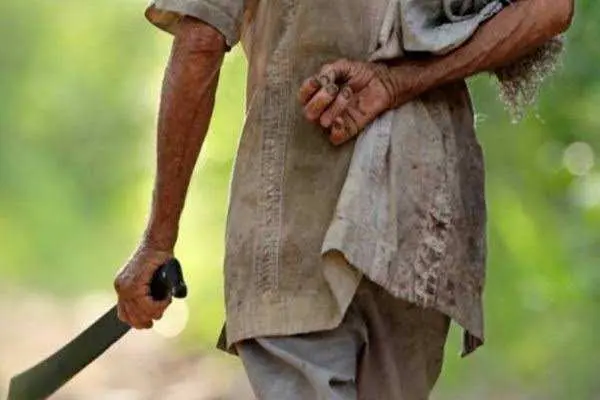 Tiga Warga Diserang ODGJ di Hutan Lindung Sirah Dayeuh, Desa Cicadas