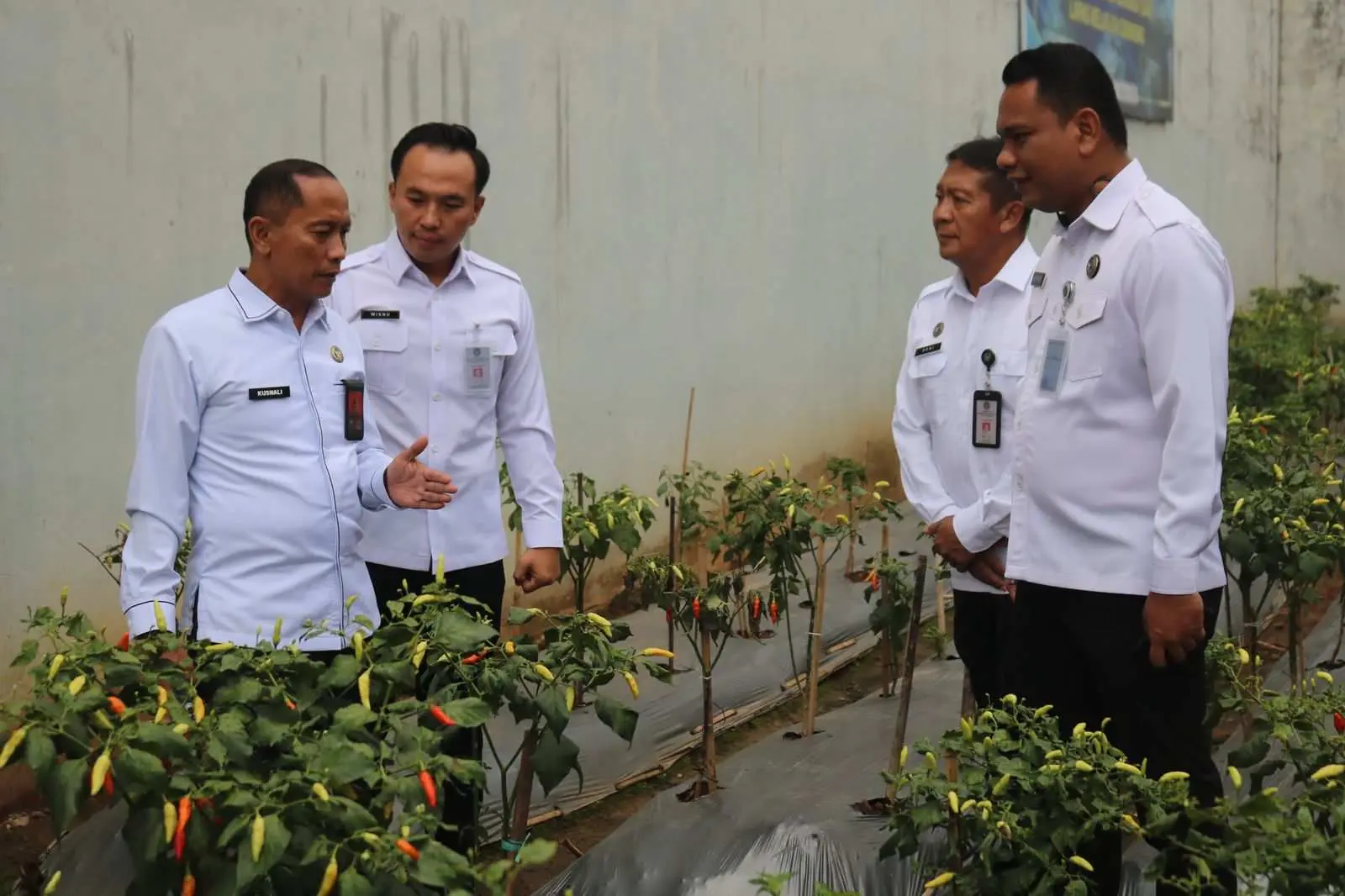 Kakanwil Ditjenpas Jabar Pantau Ketahanan Pangan di Lapas Cibinong: Wujudkan Kemandirian Warga Binaan