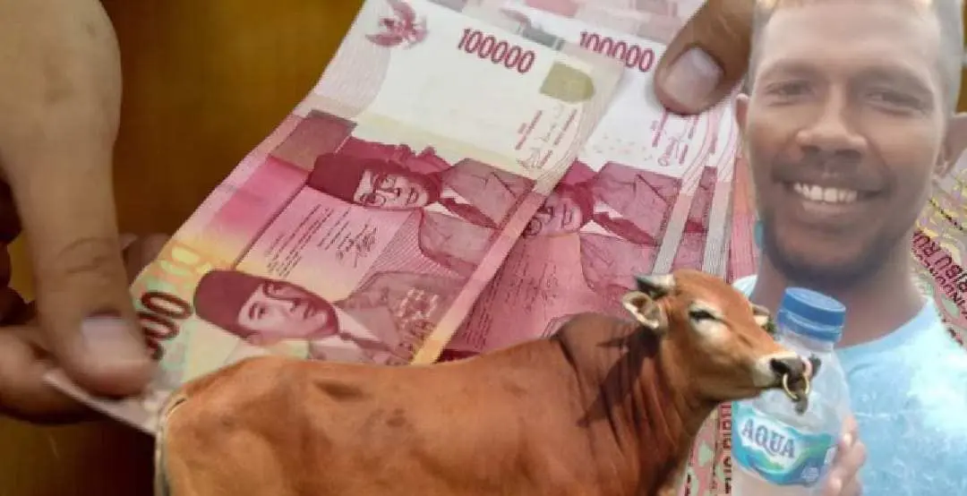 Praktik Korupsi di Setda Kepulauan Tanimbar Terkuak, SPPD Fiktif hingga Utang Sapi Belum Terbayar