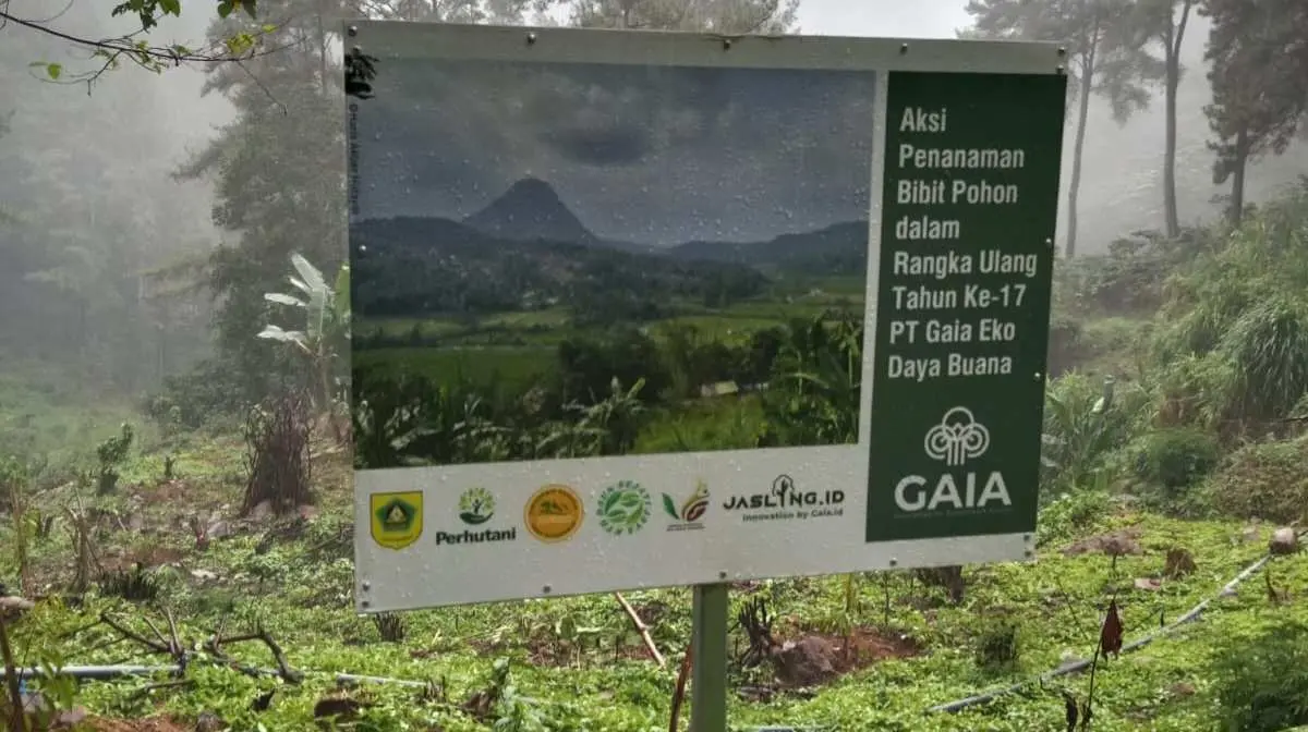 Hijaukan Bumi, PT Gaia Eko Daya Buana Tanam Durian Musang King di Sukamakmur Bogor