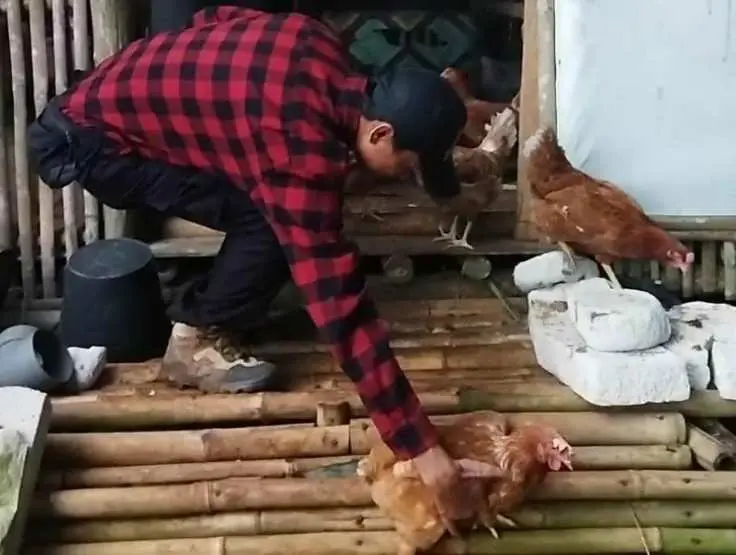 Tingkatkan Sektor Pertanian Dan Perternakan, Sekjen Posraya Indonesia Lakukan Ini!