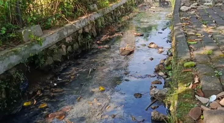 Saluran Irigasi di Desa Tlajung Udik Bogor Tercium Bau, Diduga Ada Perusahaan Buang Limbah