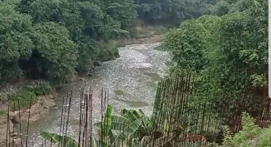 Waduh!!!, Sungai Cileungsi Kembali Berbusa, Diduga Ada Pabrik Buang Limbah