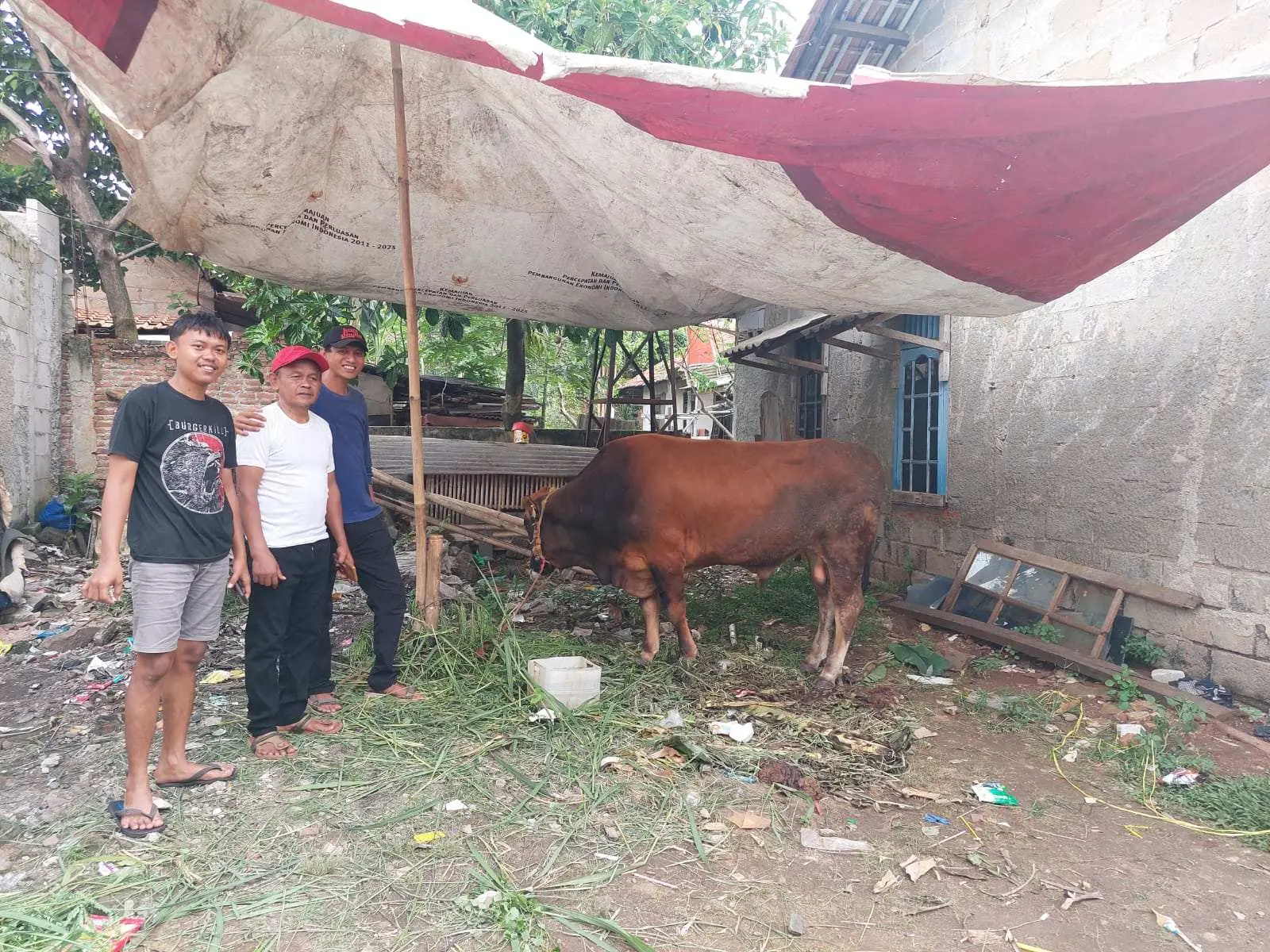 Tim 7 Jokowi : Sapi Dari Kapolri Sudah Sampai Di Tangerang Selatan