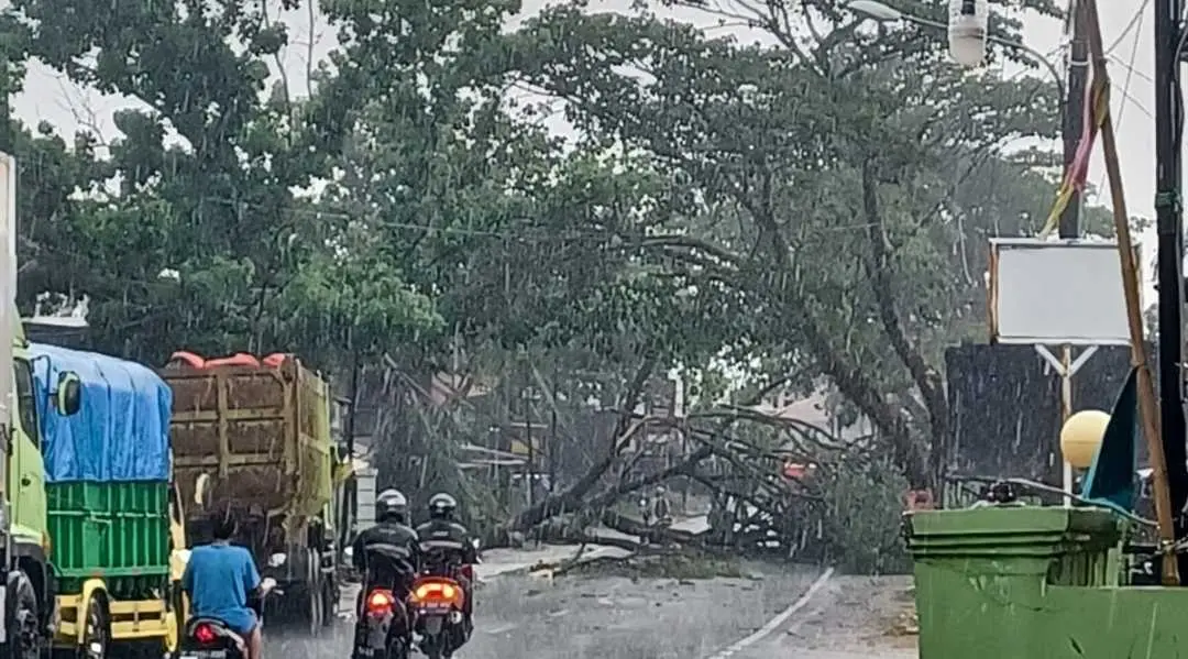 Hujan beserta Angin kencang di Kabupaten Bogor, sedikitnya ada 14 Kecamatan yang terdampak