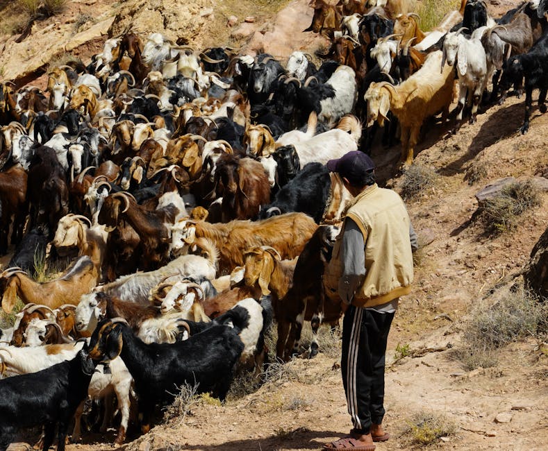 Ilustrasi berbagai camilan rumahan sederhana seperti pisang goreng, ubi, dan roti panggang yang disajikan di meja kayu.